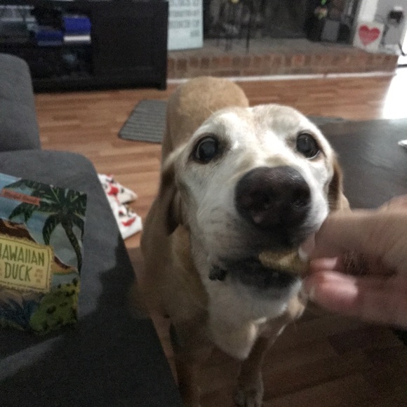 My heart is so full, I have to share! 💝💖💞 - Picture 4 of 5